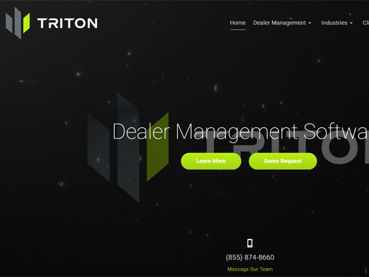 Triton Software DMS